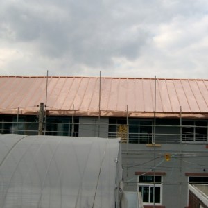 a55ac6d1dd4add258cf407d706b5a06d.jpg